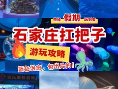 -石家庄极地海洋世界