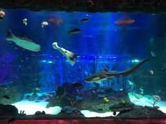 -沈阳海洋探索中心