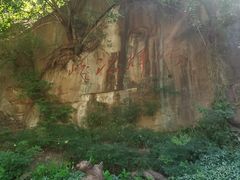 -铁山坪森林公园