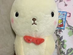 -泰山宝盛大酒店·八珍轩自助餐