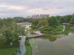 -东莞植物园