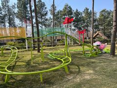 -合肥滨湖国家森林公园