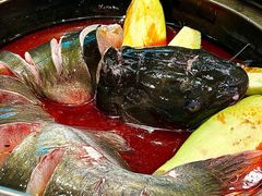 -满兴咱妈烀饼铁锅炖(兰州北街店)