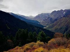 -黄龙山原始森林景区