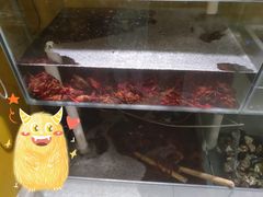 -丁虎子烤肉(国道二店)