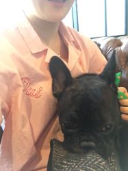 -SENS·BESPOKE男装私人定制