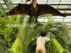 -呀路古热带植物园