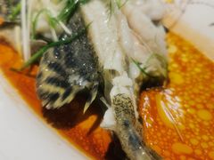 -鑫悦楼煎蟹·16年海鲜大排档