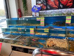 水产区-黄寺蒸汽海鲜(黄寺大街店)