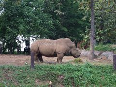 -清迈夜间动物园