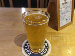 -Restaurant Paulaner am Dom