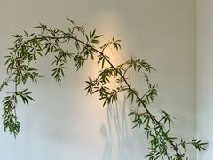 -小茶闲舍·观景商务茶馆(广州塔店)