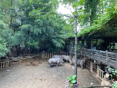 -长鹿旅游休博园