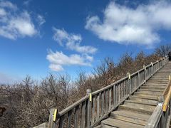 -帽儿山国家森林公园