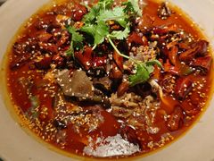 -辛香汇·现炒川菜(淮海路百盛店)