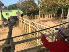 -西霞口神雕山野生动物世界