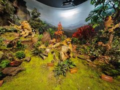 -陕西自然博物馆