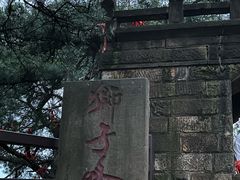 -缙云山景区