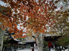 -香山湖家家宴(中山陵店)