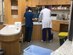 -联合动物医院(光谷诊疗中心)