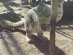 -青藏高原野生动物园