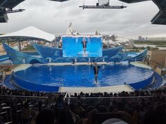 -上海海昌海洋公园