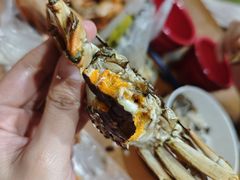 -阳澄湖大闸蟹·琼灵阁牌品牌连锁(吴中总店)