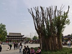 -赵州桥景区