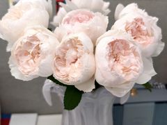 -循礼门鲜花花市(武汉循礼门店)