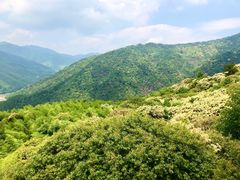 -大余丫山旅游度假区