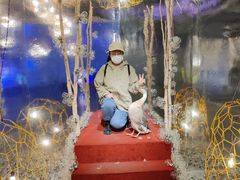 -chi K11艺术空间展览厅