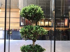 -北京朝阳悠唐皇冠假日酒店