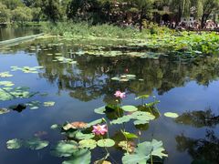 -承德避暑山庄景区
