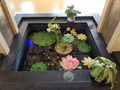 -苏州环秀晓筑养生度假村