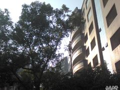 -上海市曹杨第二中学