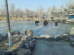 -北京野生动物园