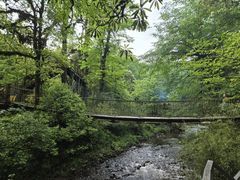 -龙苍沟森林公园
