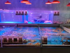 -金成潮菜博物馆(海珠湿地店)