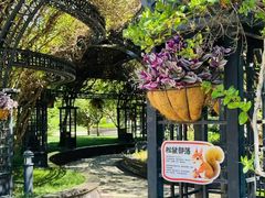 -青岛鑫江温德姆酒店