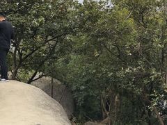 -火炉山森林公园