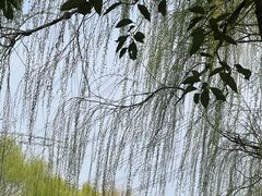 -九里河湿地公园