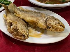 -蛇口康乐快餐鱼仔档(翠苑小区店)