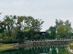 -蠡湖中央公园