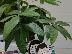-雅悦齿科(顾村公园店)
