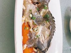 -松沪名灶·豆浆鱼头·新上海菜(飞航吾悦广场店)