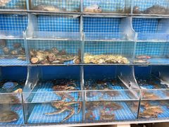 -宾朋海鲜饭庄(兴海路店)