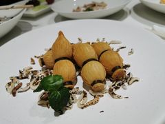 莲藕断丝连-西郊壹号