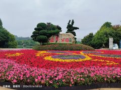 -洛龙公园