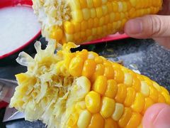 -光明刘冰乳鸽店(光明法政北路店)