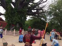 -大槐树寻根祭祖园
